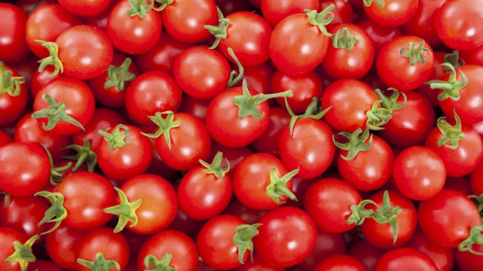 Lycopene