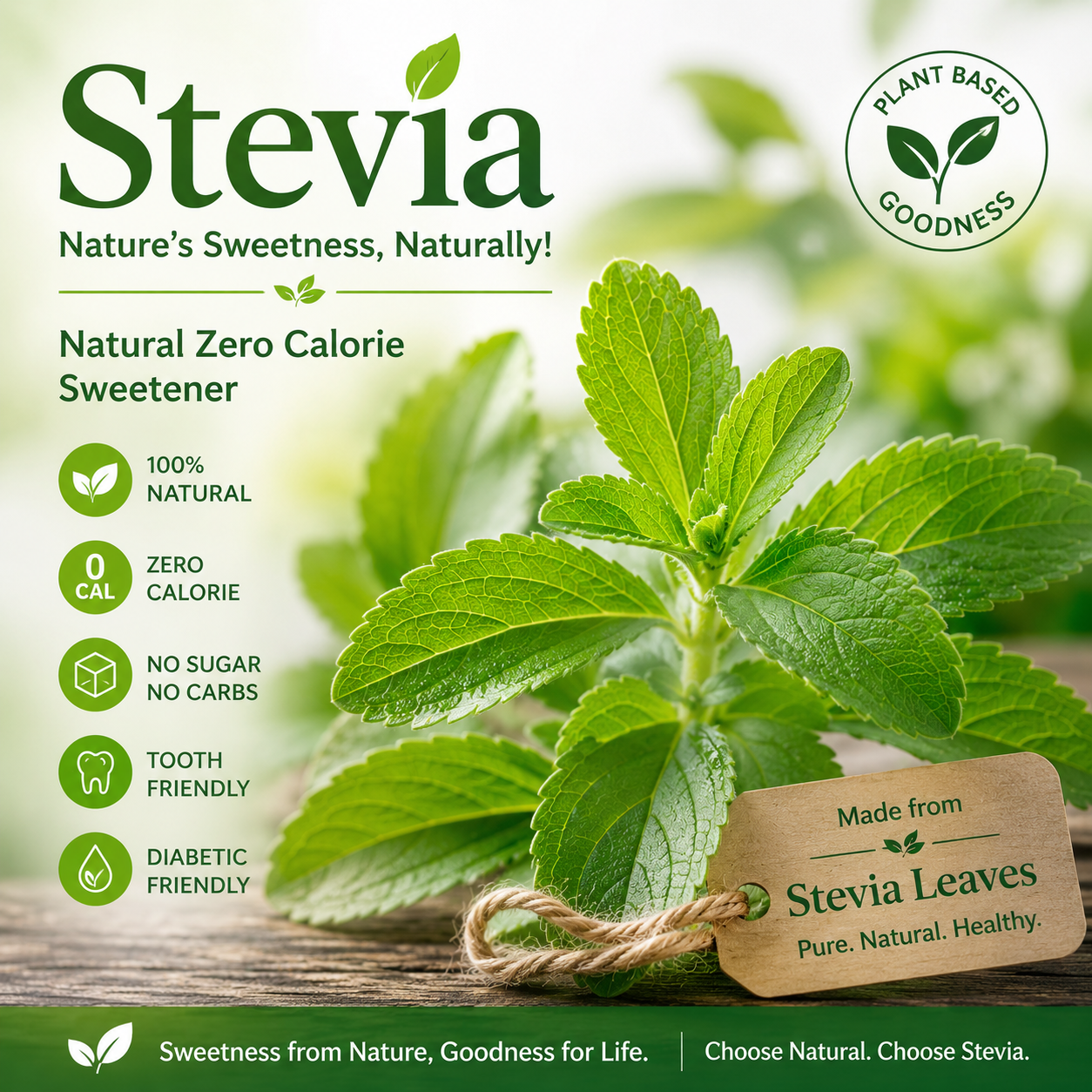 Fresh green stevia plant leaves - natural zero calorie sweetener
