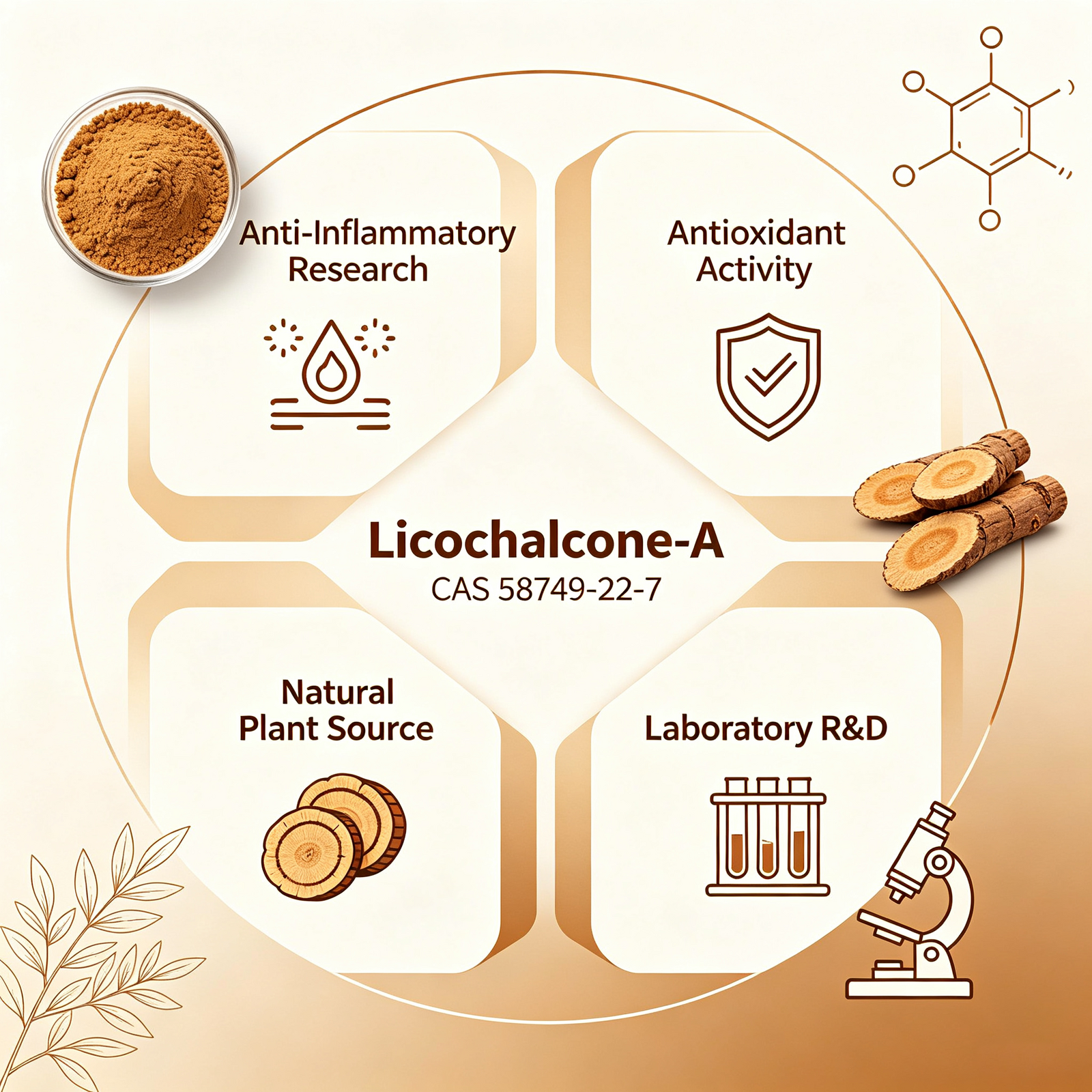 Licochalcone A CAS 58749-22-7 Prenylated Chalcone from Glycyrrhiza inflata
