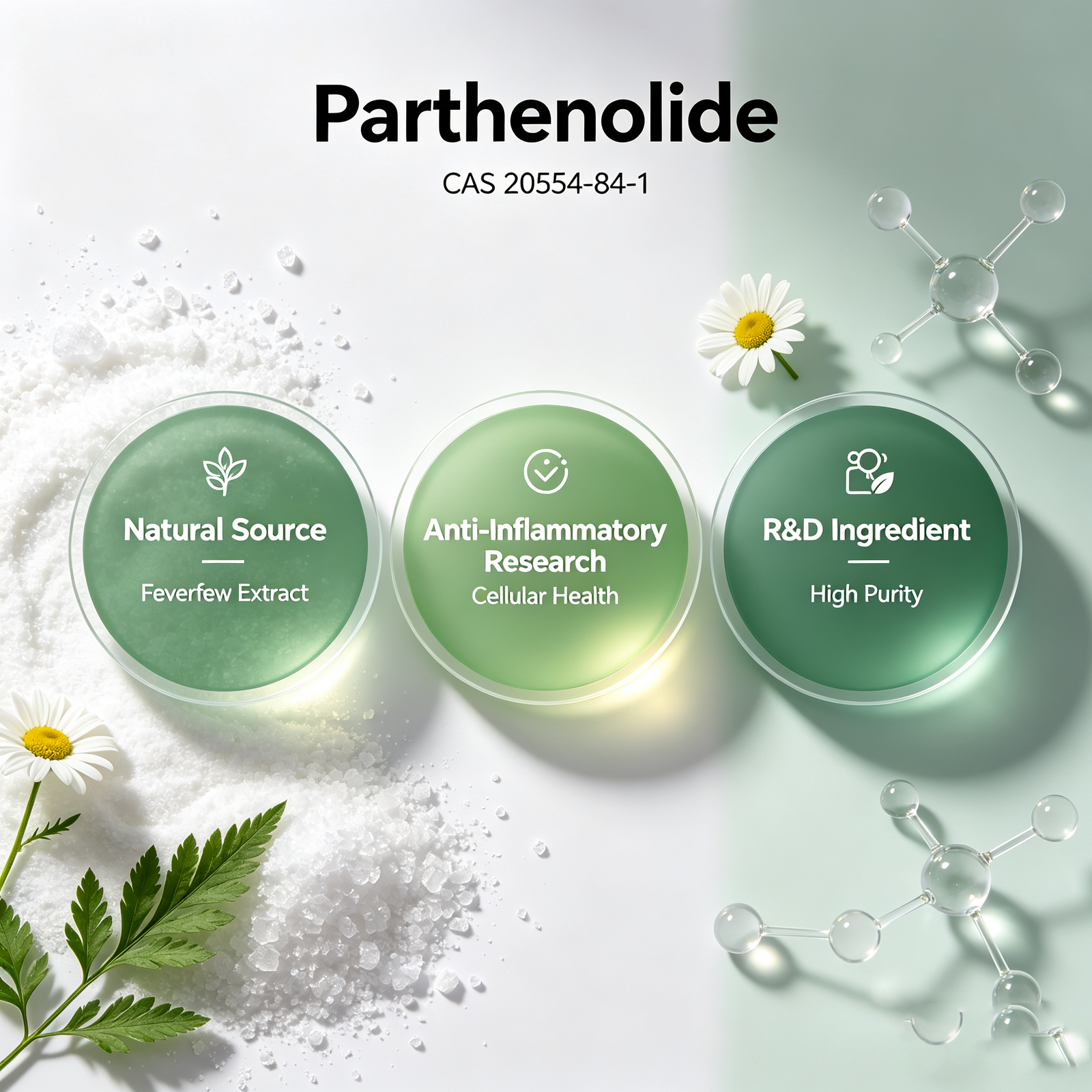 Parthenolide CAS 20554-84-1 Sesquiterpene Lactone from Tanacetum parthenium