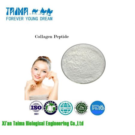 Collagen Peptide