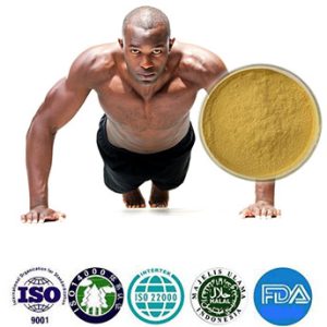 Natural organic ingredient product image from Taima Organic Bio