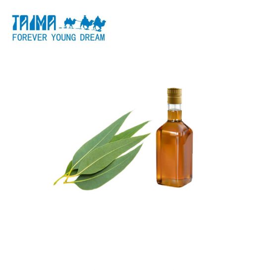 Organic Eucalyptus oil