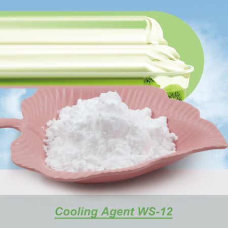 04--WS-12-01_no_logo 04--WS-12-01_no_logo