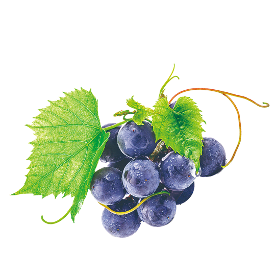 Grapes Essential oil