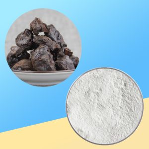 Natural organic ingredient product image from Taima Organic Bio