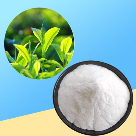 10-表儿茶素-(-)-Epicatechin-02.. 10-表儿茶素-(-)-Epicatechin-02..