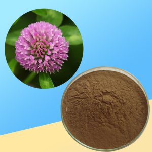 Natural organic ingredient product image from Taima Organic Bio