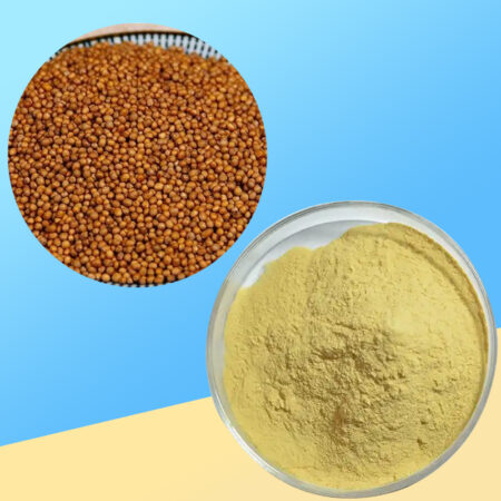 53-咖啡酸反式异构体-Sinapic-acid-02 53-咖啡酸反式异构体-Sinapic-acid-02