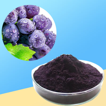 Procyanidin-02 Procyanidin-02