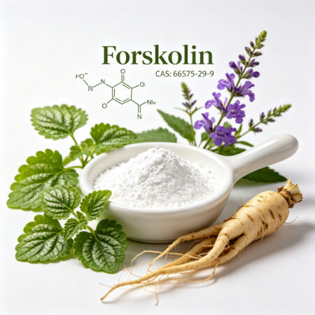 Forskolin CAS 66575-29-9 Coleus forskohlii root extract powder