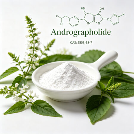 Andrographolide CAS 5508-58-7 immune supplement capsules
