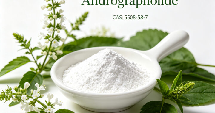 Andrographolide CAS 5508-58-7 immune supplement capsules