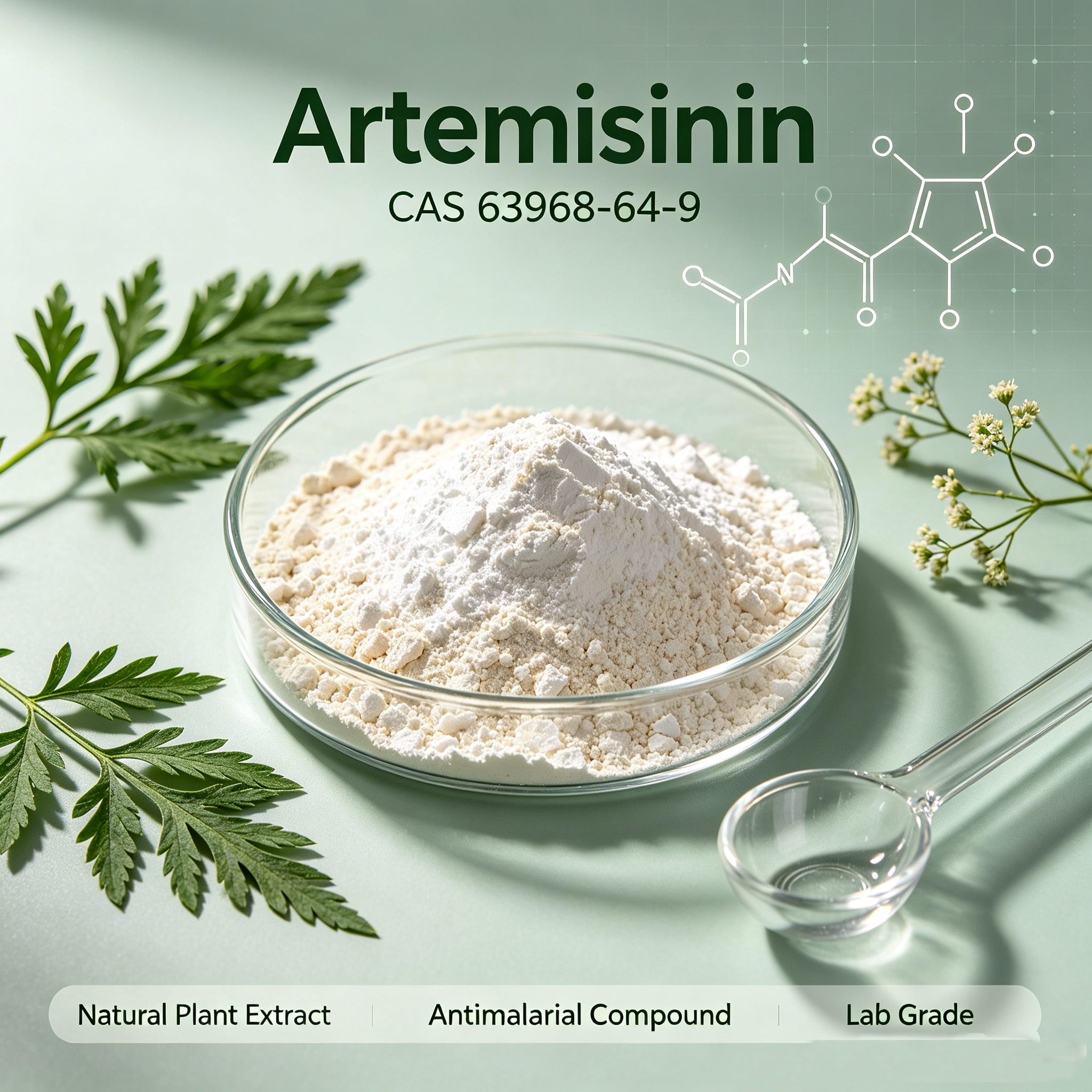Artemisinin CAS 63968-64-9 Peroxy Sesquiterpene Lactone from Artemisia annua
