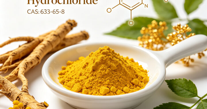 Berberine Hydrochloride CAS 633-65-8 supplement capsules