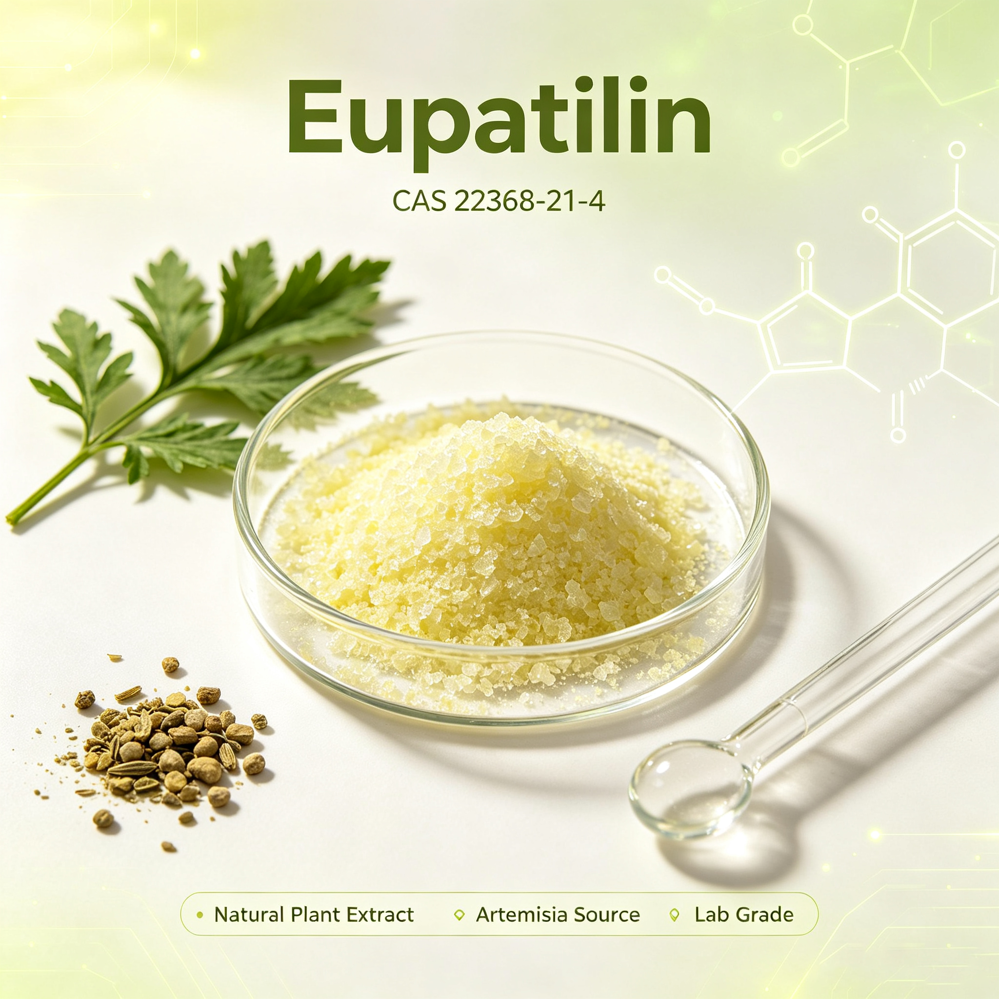 Eupatilin CAS 22368-21-4 Polymethoxy flavone from Artemisia argyi